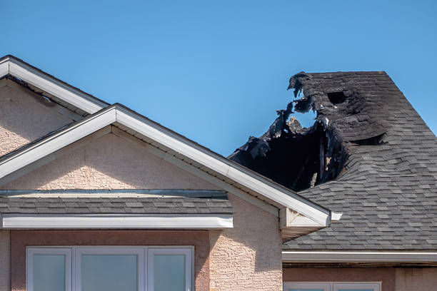 Top rated local Fire Board Up specialists in Knapp, WI